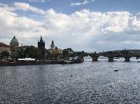 IMG_1519.JPG