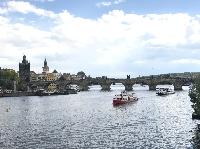 IMG_1529.JPG