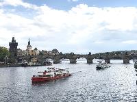 IMG_1537.JPG