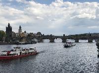 IMG_1541.JPG