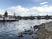 IMG_1561.JPG