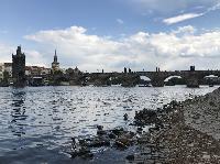 IMG_1563.JPG