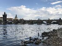 IMG_1565.JPG