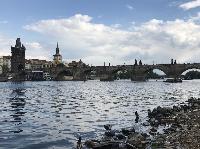 IMG_1566.JPG