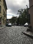 IMG_1585.JPG