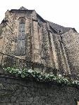 IMG_7277.JPG