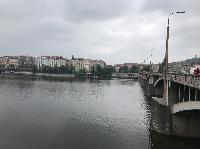 IMG_7294.JPG