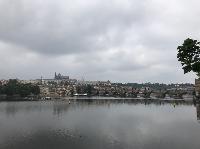 IMG_7408.JPG