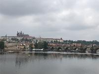 IMG_7411.JPG