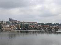 IMG_7413.JPG