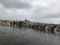 IMG_7443.JPG