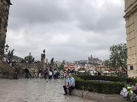IMG_7451.JPG