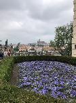 IMG_7452.JPG