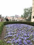 IMG_7453.JPG