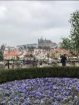 IMG_7456.JPG