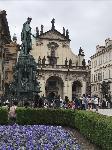 IMG_7457.JPG