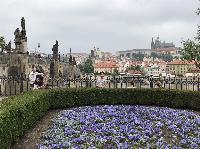 IMG_7461.JPG