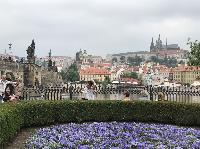 IMG_7462.JPG