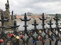 IMG_7480.JPG