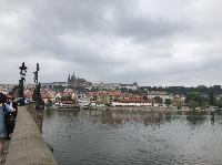 IMG_7481.JPG