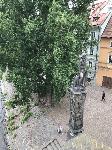 IMG_7493.JPG