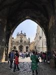 IMG_7525.JPG