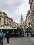 IMG_7531.JPG