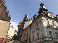 IMG_7544.JPG