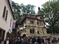 IMG_7545.JPG