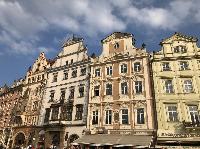 IMG_7584.JPG