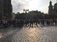 IMG_7595.JPG