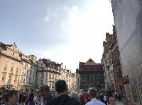 IMG_7604.JPG