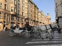 IMG_7607.JPG