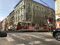IMG_8373.JPG