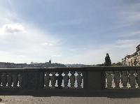 IMG_8387.JPG