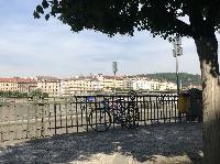 IMG_8404.JPG