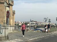 IMG_8419.JPG