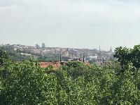 IMG_8427.JPG