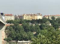 IMG_8429.JPG