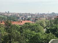 IMG_8436.JPG