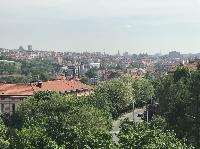 IMG_8439.JPG