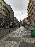IMG_8487.JPG
