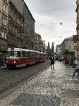 IMG_8489.JPG