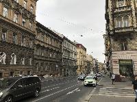 IMG_8518.JPG