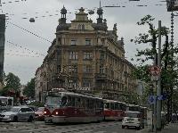 IMG_8524.JPG