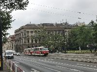 IMG_8556.JPG