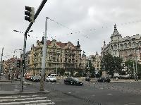 IMG_8645.JPG