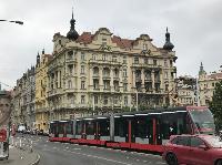 IMG_8684.JPG