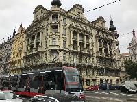 IMG_8713.JPG