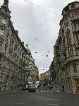 IMG_8725.JPG